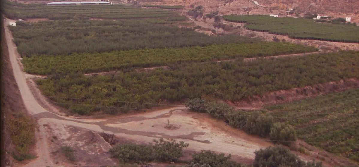 Bancales y cultivos de la finca entre las lomas de Alhama de Almería