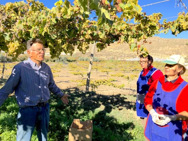 Sebastián Marín y el equipo durante la recolección de uva en la finca